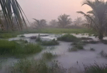 Habitantes denuncian nueva fuga de hidrocarburo en Centla.