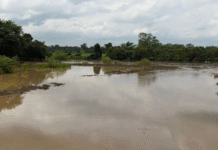 Ríos descienden en la sierra de Tabasco tras fuertes afectaciones.