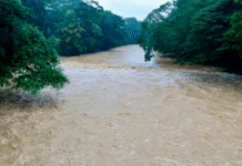 Hallan sin vida a hombre arrastrado por el río Puyacatengo en Teapa.