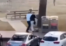 Valentía en Bondi Beach: Civil desarma a tirador durante ataque terrorista.