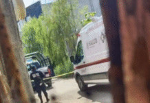 Violencia en Gaviotas Sur: ejecutan a un hombre a plena luz del día.