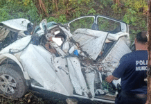 Muere conductor tras caer a barranco y chocar contra un árbol en Balancán.