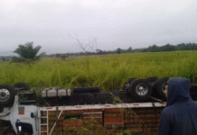 Accidente de camión cargado con pollos paraliza la Macuspana–Palenque.
