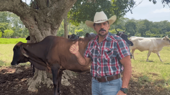 Captura de pantalla 2025-12-29 a la(s) 12.41.29 a.m.