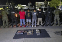 Caen cuatro en gaviotas sur con armas y droga.