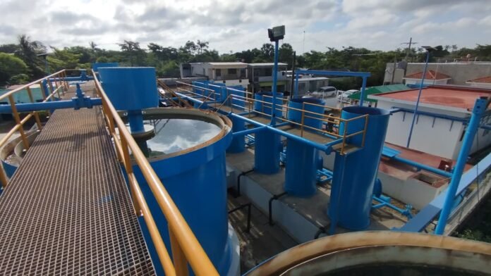 WhatsApp Image 2025-12-02 at 12.58.25 PM (1)