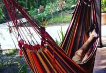 Hallan cuerpo en descomposición dentro de vivienda.