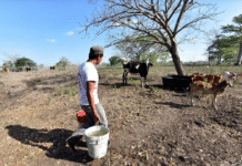 Protección Civil anticipa sequía moderado en Tabasco 2026.