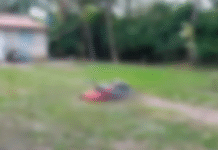 Asesinan a mujer en Comalcalco; cuarto homicidio femenino del año.