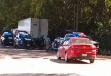 Taxista se arroja de unidad para evitar ejecución.