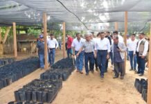 Javier May convoca a fortalecer el campo con Sembrando Vida.