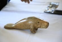 Niño escultor agradece apoyo de Pescando Vida.