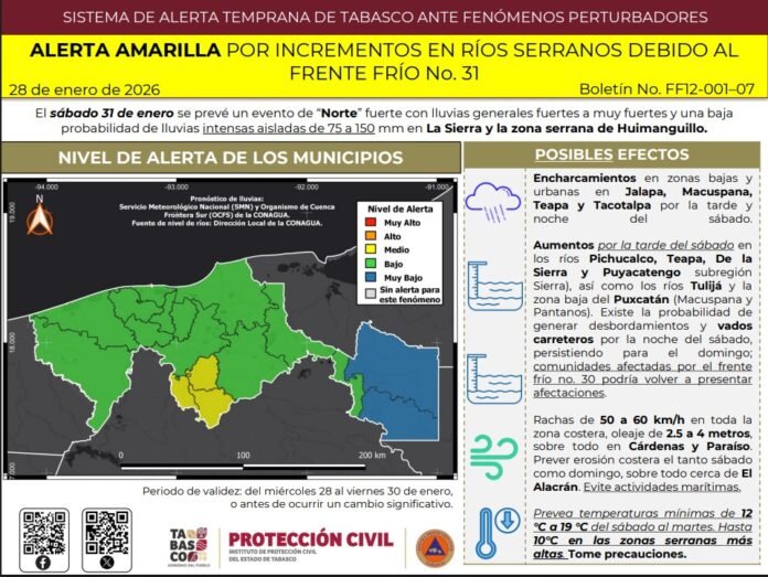 WhatsApp Image 2026-01-28 at 2.02.37 PM