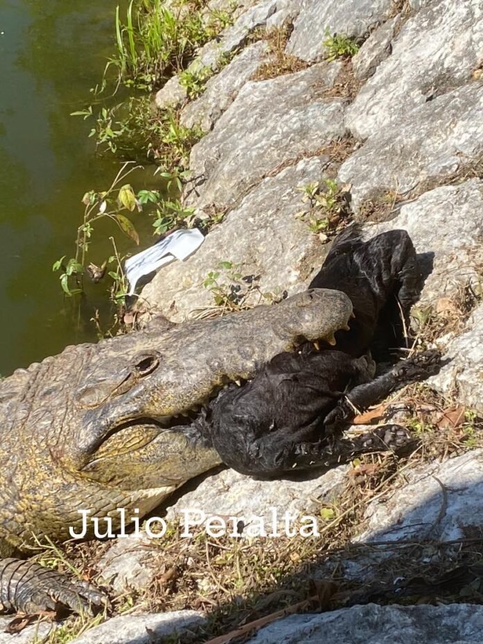 627850890_25795298156803235_3184736793447586282_n