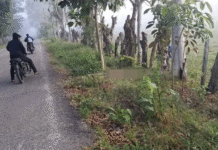 Hallan hombre ejecutado a orillas de carretera.