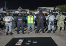 SSPC y FIRT Olmeca detienen a presunto narcomenudista.