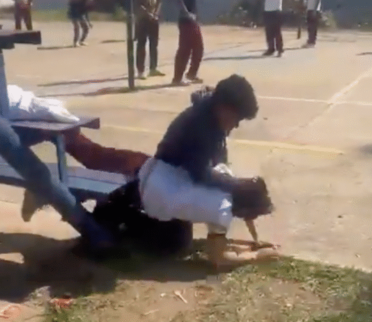 Graban pelea entre alumnos del CBTIS 32 y nadie interviene.