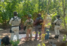 Hallan fosa clandestina en Paraíso; FGE investiga caso.