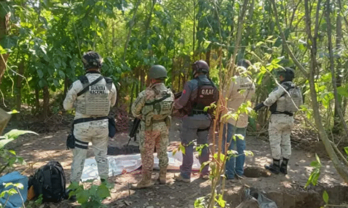 Captura de pantalla 2026-02-11 a la(s) 10.53.05 p.m.