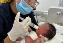 Tabasco marca precedente nacional con exitosa cirugía fetal intrauterina.