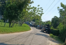 Ejecutan a mujer dentro de su vivienda en Jalpa.