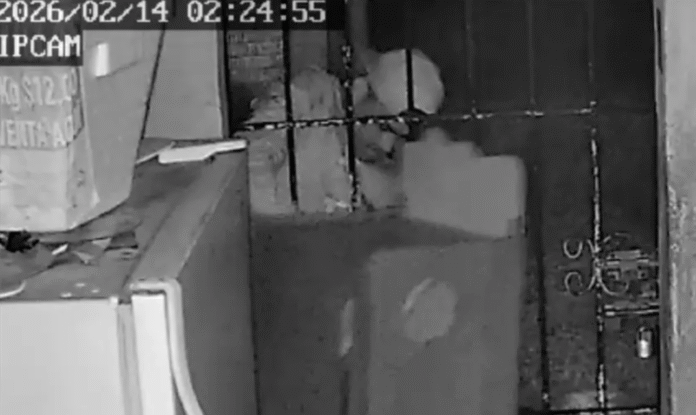 Captura de pantalla 2026-02-15 a la(s) 11.29.20 p.m.