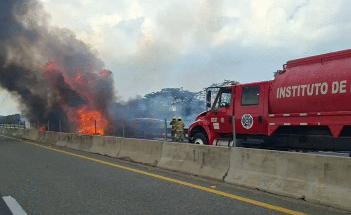 Captura de pantalla 2026-02-16 a la(s) 11.56.46 p.m.