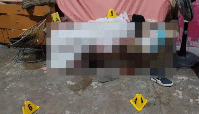 Captura de pantalla 2026-02-17 a la(s) 12.01.33 a.m.