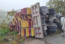 Vuelca camión con pollos en Jalapa–Tacotalpa.