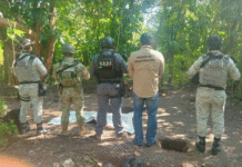 FGE halla fosa clandestina con seis cuerpos Paraíso.