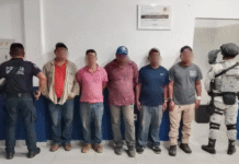 Aseguran más de 10 mil pies de madera ilegal y detienen cinco en Emiliano Zapata.