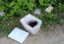 Localizan cabeza humana con amenazas.