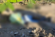 Hallan cuerpo con mensaje violento en Plátano y Cacao.