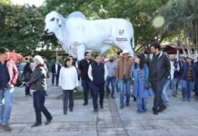 Avanza Stand Ganadero con inversión de 41.7 mdp.