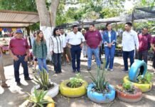 Javier May impulsa reforestación desde comunidades campesinas.