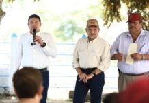 Avanza Crédito Ganadero con 15 mil vientres.