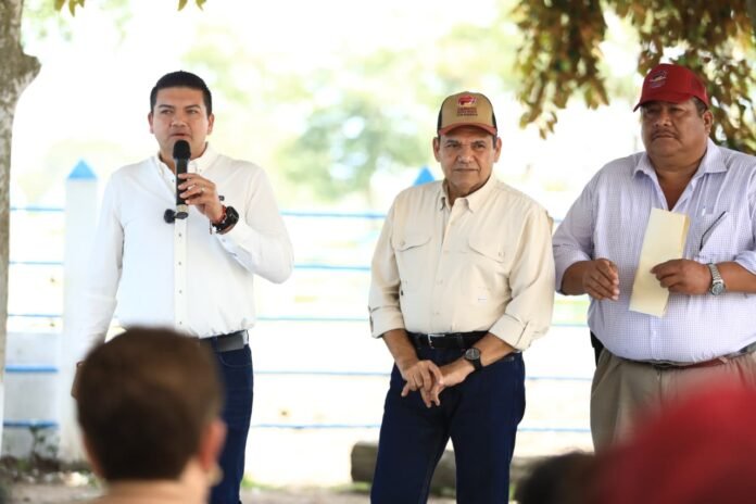 WhatsApp Image 2026-02-13 at 5.55.43 PM (1)