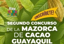 Cacao tabasqueño brillará en Feria Tabasco 2026.