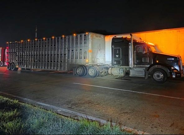 WhatsApp Image 2026-02-16 at 10.02.23 AM