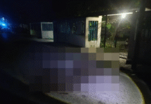 Hombre muere atropellado en villa Chichicapa Comalcalco.