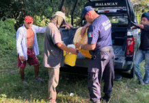 Pescador rescata a niño y desaparece en río Usumacinta.