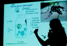 Piden capacitar médicos para atender dengue.