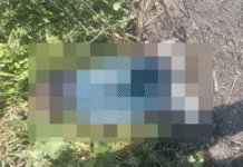 Hallan cadáver maniatado en Boquerón quinta sección.