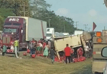 Volcadura de tráiler con refrescos desata rapiña en carretera federal.