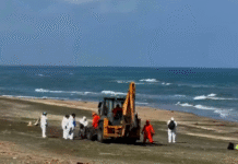 Playas de Tabasco listas para turismo en Semana Santa.