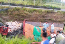 Volcadura de tráiler desata rapiña en carretera.