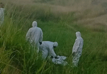 Hallan cadáver con rostro vendado en Libramiento Villahermosa.