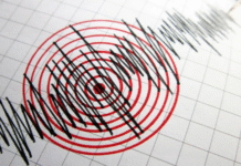 Sismo de magnitud 3.6 sacude Macuspana, Tabasco.