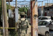 Encuentran cuerpo sin vida en lote baldío en Miguel Hidalgo.