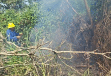 Centro registra 26 incendios urbanos durante 2026.